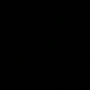 Meet your Posher, Lelia